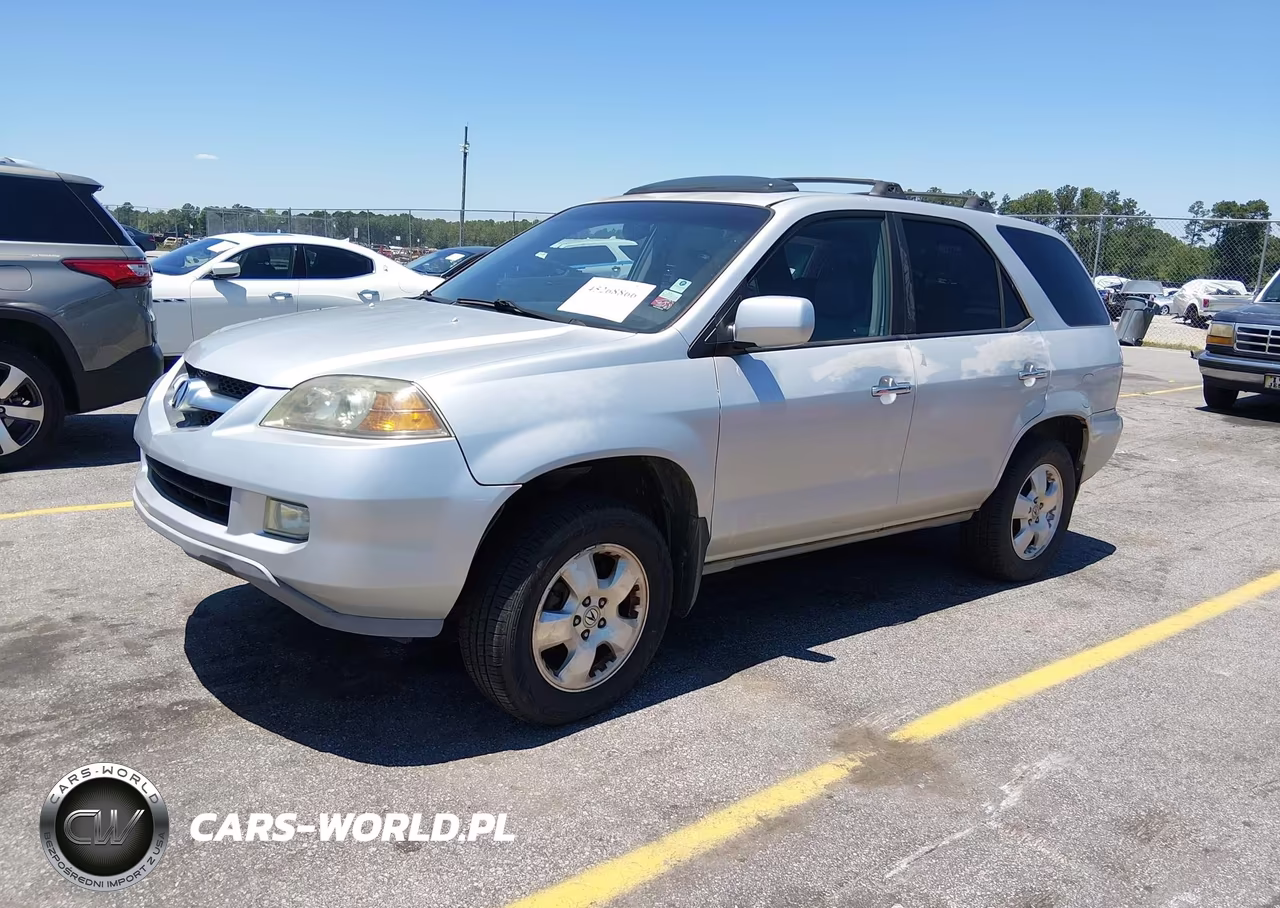 2005 Acura Mdx VIN:2HNYD182X5H502689 - 2