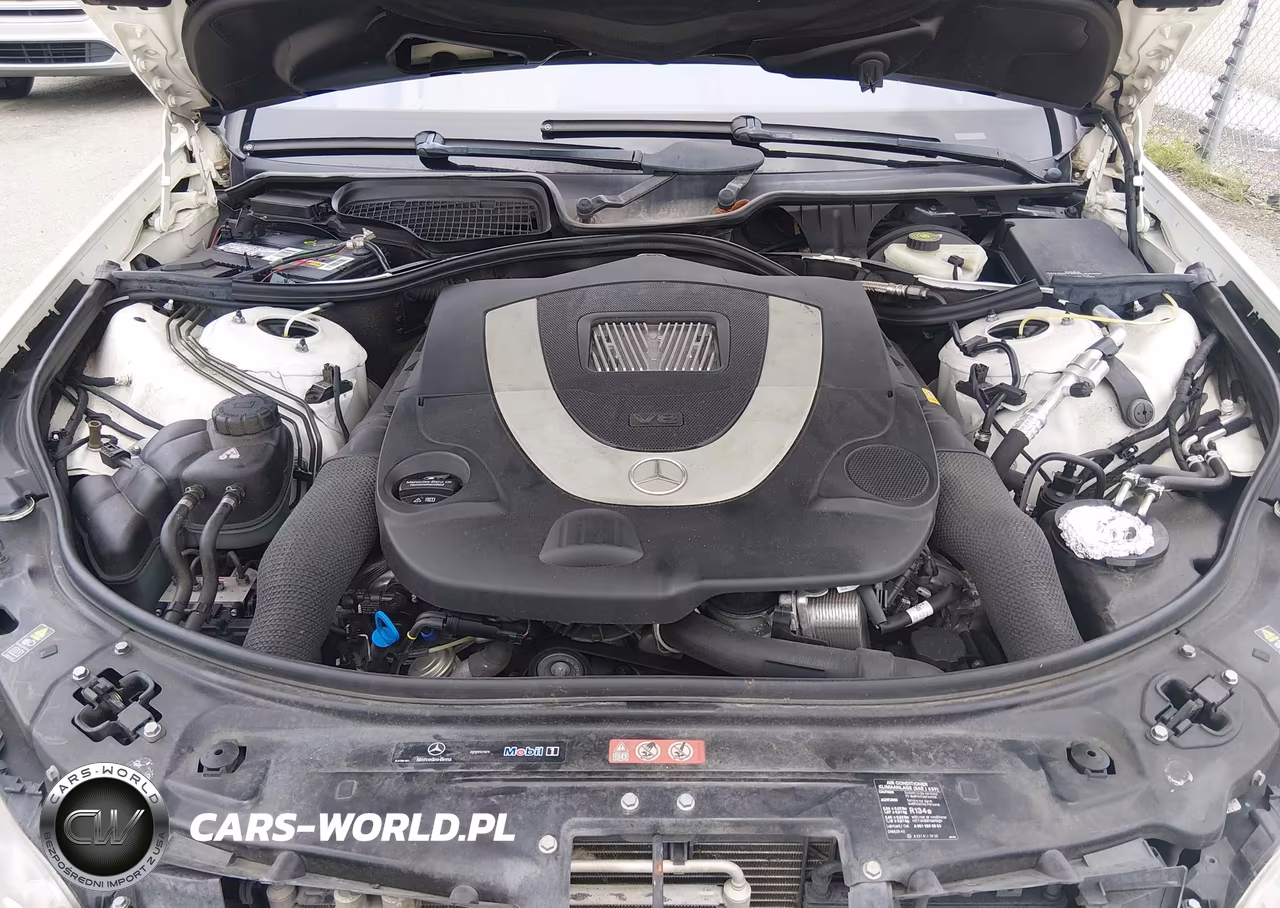 2009 Mercedes-Benz S 550 VIN:WDDNG71X69A271857 - 10