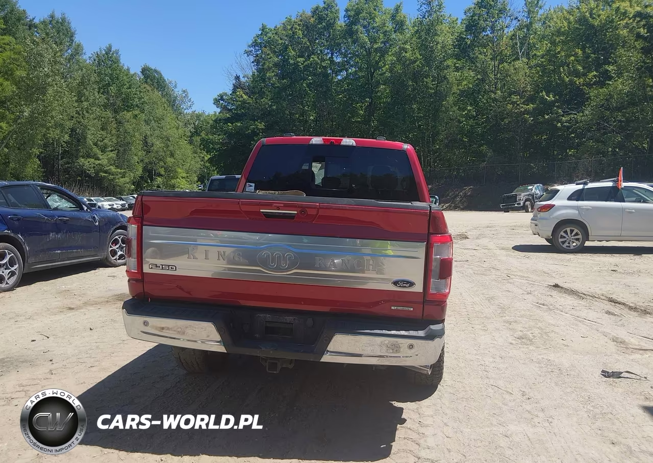 2021 Ford F-150 King Ranch VIN:1FTFW1E88MFA36597 - 16