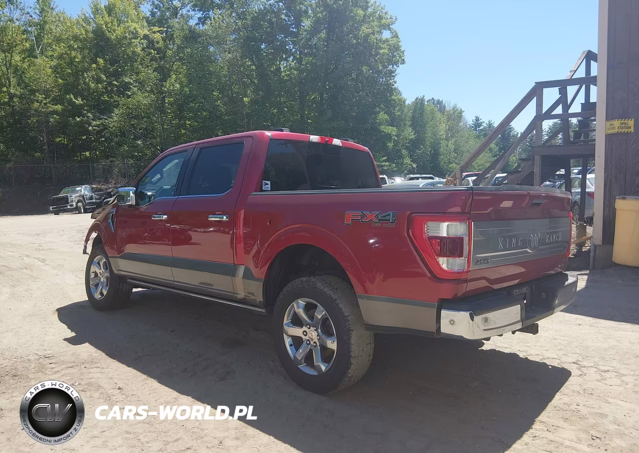 2021 Ford F-150 King Ranch VIN:1FTFW1E88MFA36597 - 3