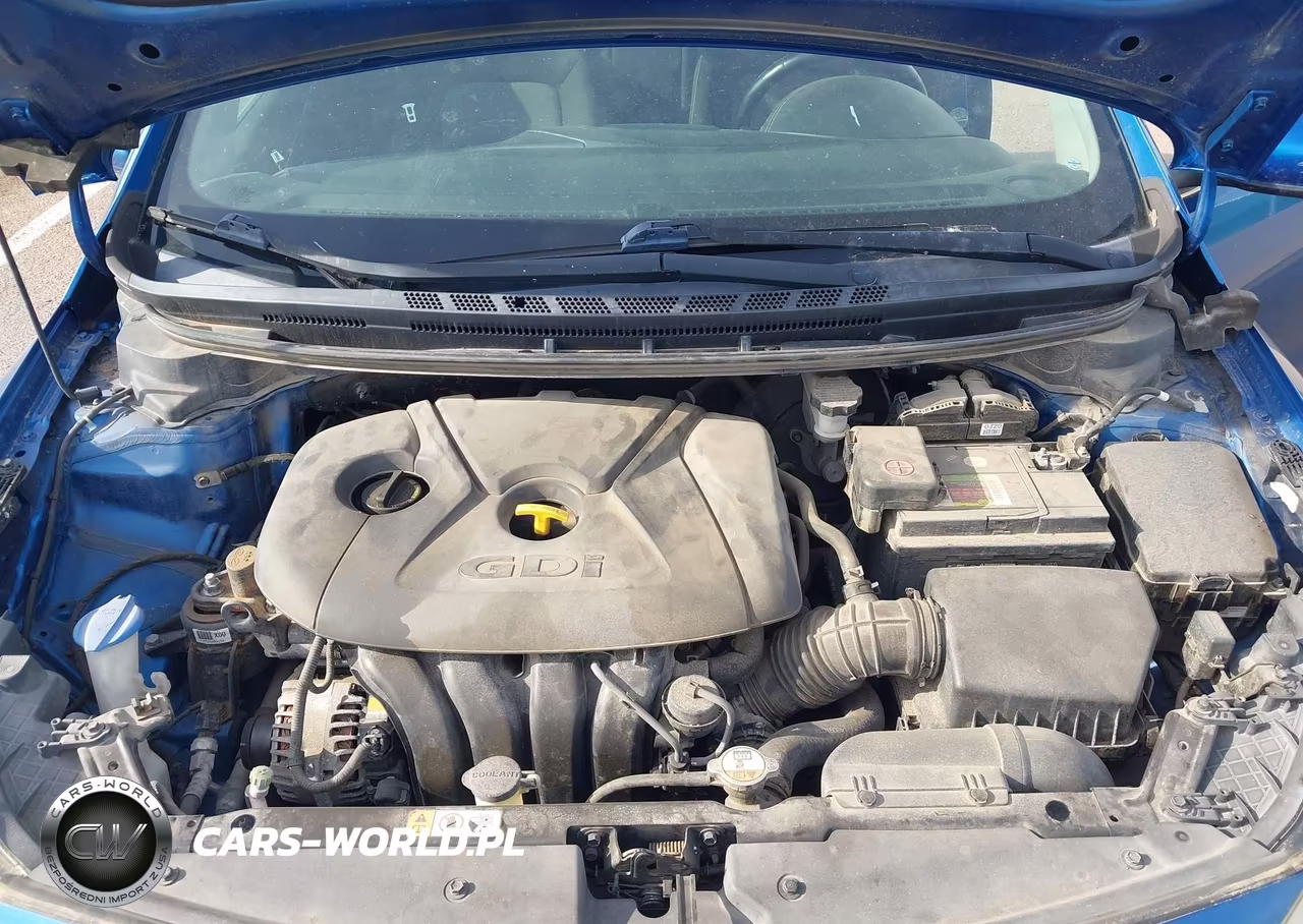 2014 Kia Forte Ex VIN:KNAFX4A82E5075596 - 10