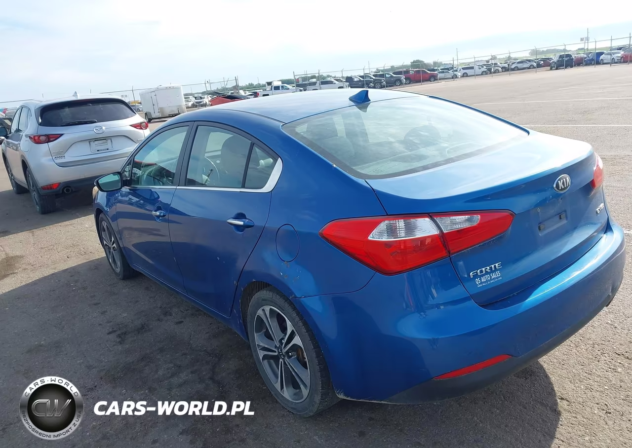 2014 Kia Forte Ex VIN:KNAFX4A82E5075596 - 3