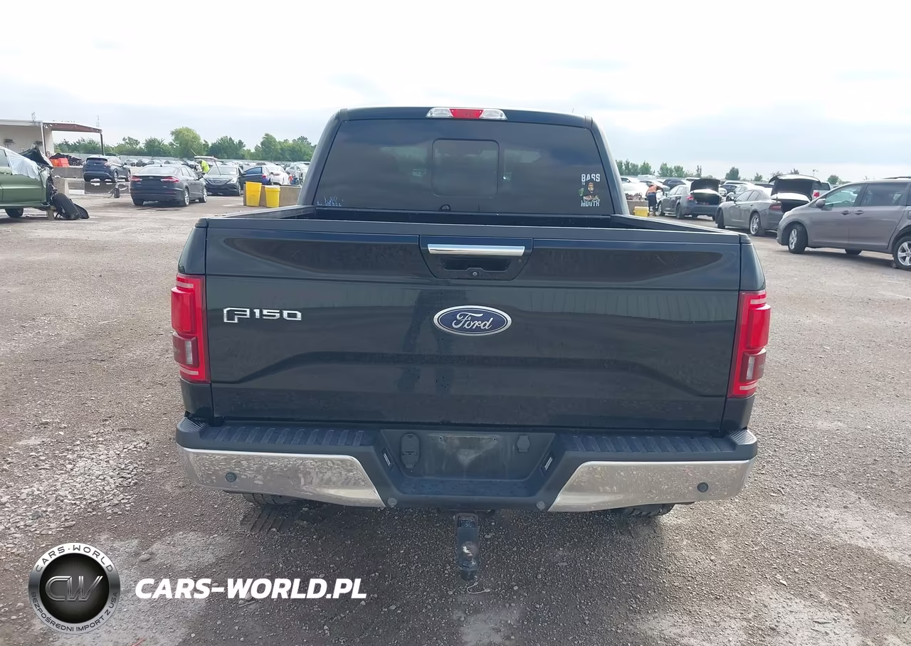2016 Ford F-150 Lariat VIN:1FTEW1EG7GKD48120 - 16