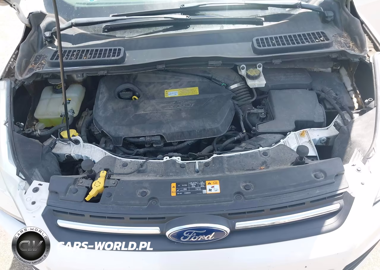 2013 Ford Escape Se VIN:1FMCU0GXXDUD89731 - 10