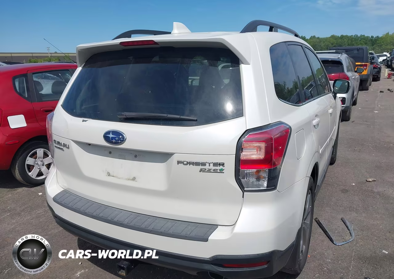 2017 Subaru Forester 2.5I Touring VIN:JF2SJATC7HH407023 - 4