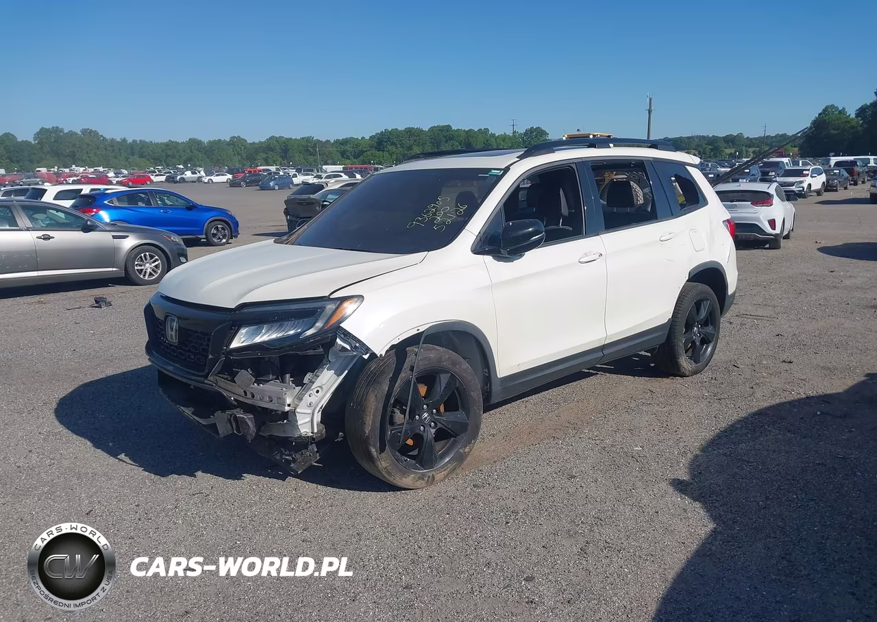 2019 Honda Passport Elite VIN:5FNYF8H03KB005377 - 2