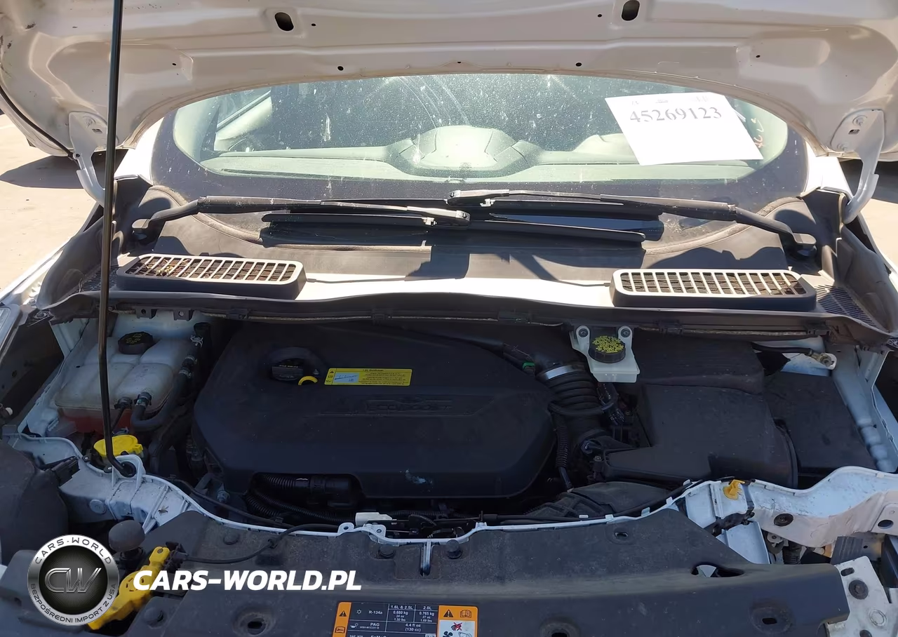 2014 Ford Escape Se VIN:1FMCU0GX3EUA45983 - 10
