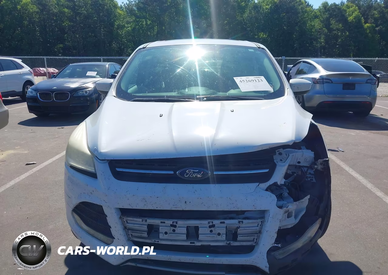 2014 Ford Escape Se VIN:1FMCU0GX3EUA45983 - 12