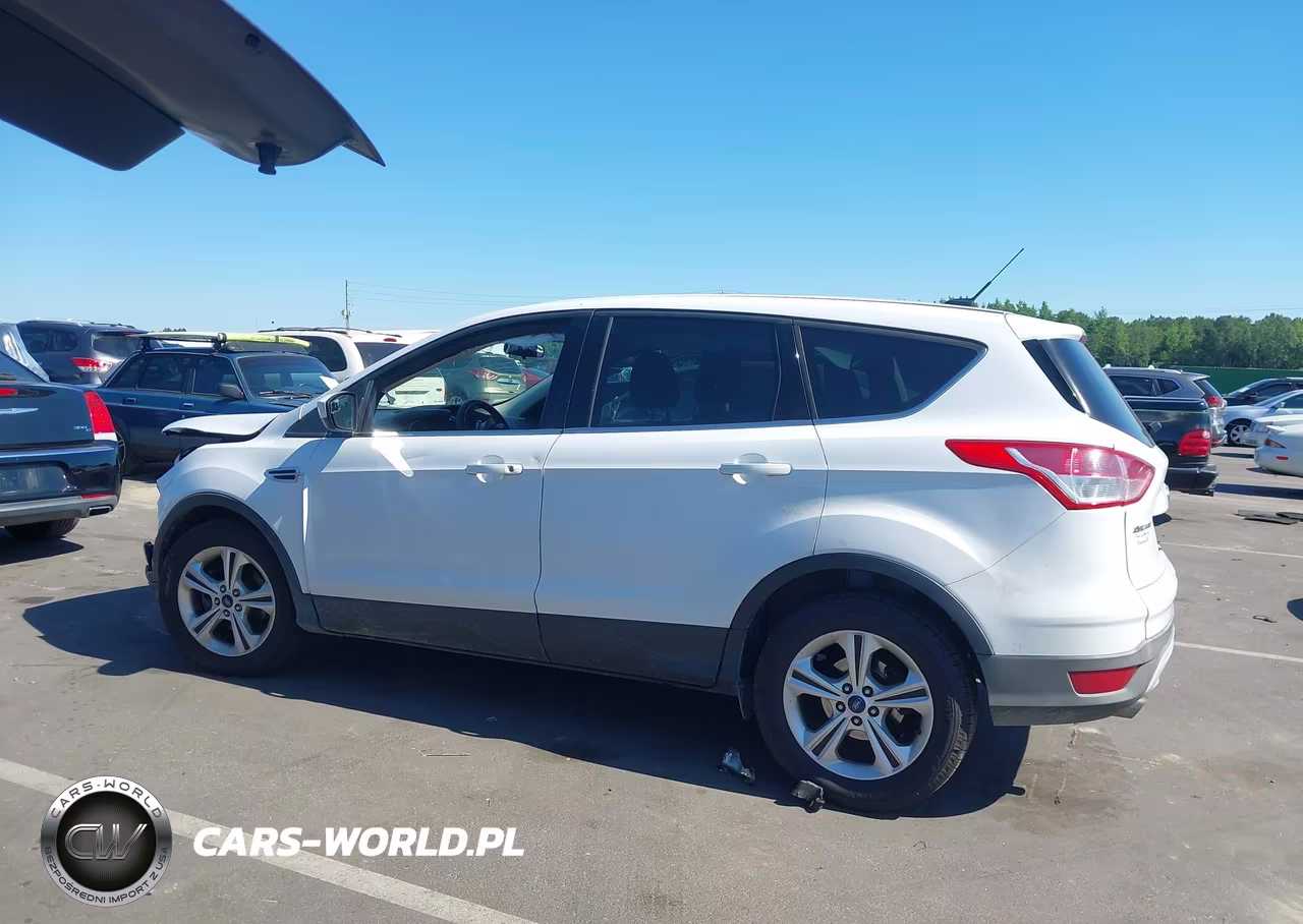 2014 Ford Escape Se VIN:1FMCU0GX3EUA45983 - 14