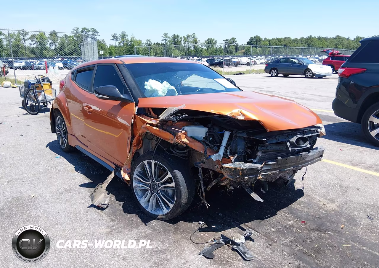 2016 Hyundai Veloster Turbo VIN:KMHTC6AE0GU293138 - 6