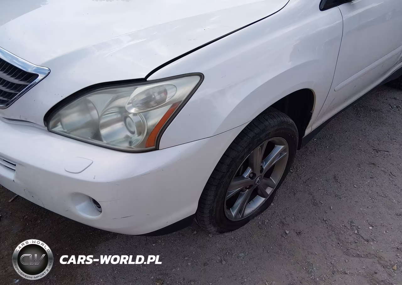 2006 Lexus Rx 400H VIN:JTJHW31U060009470 - 13
