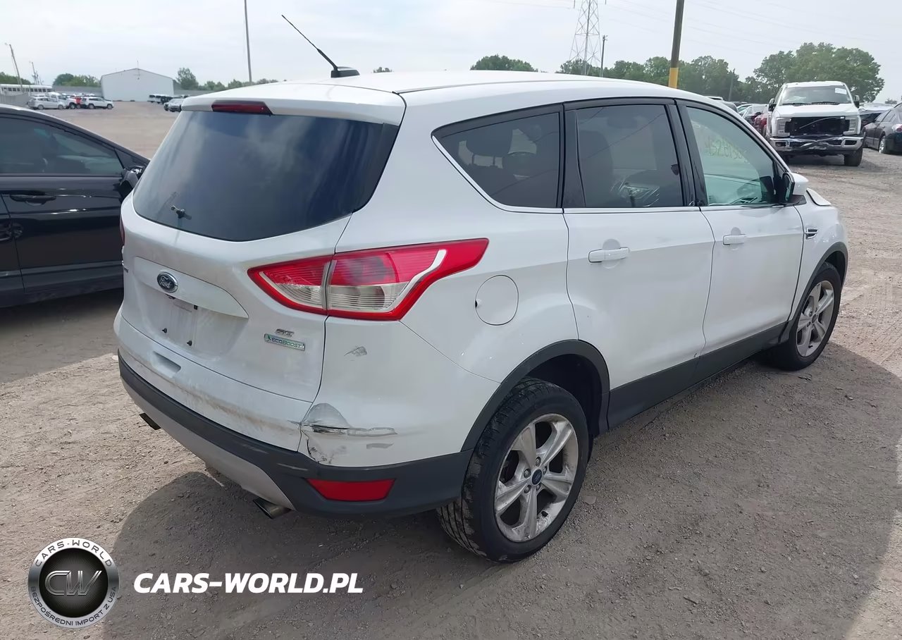 2014 Ford Escape Se VIN:1FMCU0G92EUD38601 - 4