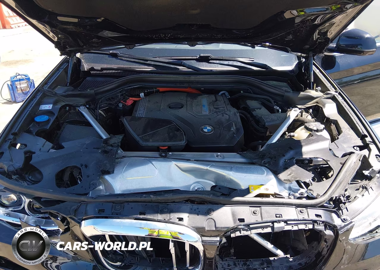 2021 BMW X3 Phev xDrive30E VIN:5UXTS1C02M9G63100 - 10