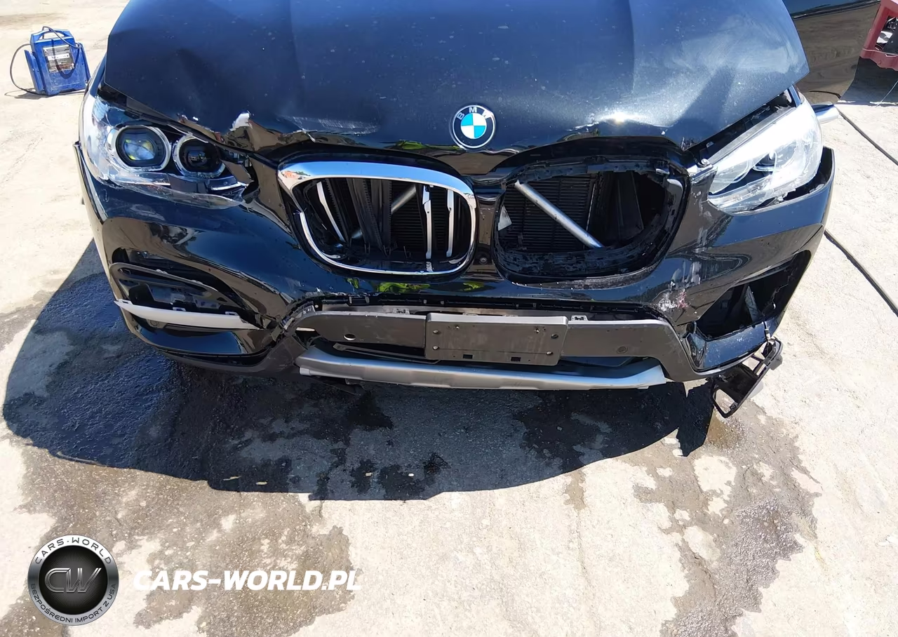 2021 BMW X3 Phev xDrive30E VIN:5UXTS1C02M9G63100 - 6