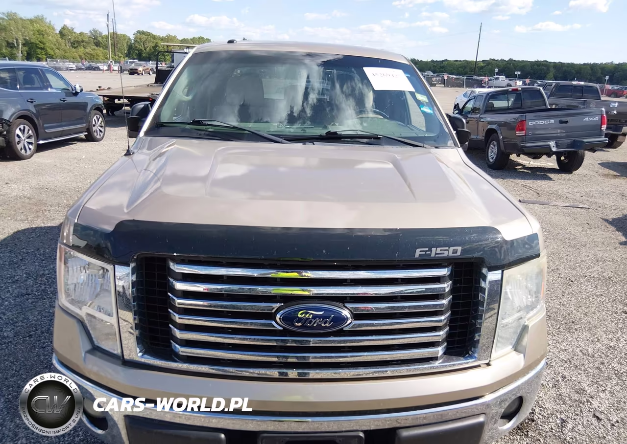 2011 Ford F-150 Xlt VIN:1FTFW1EF0BFA01077 - 12