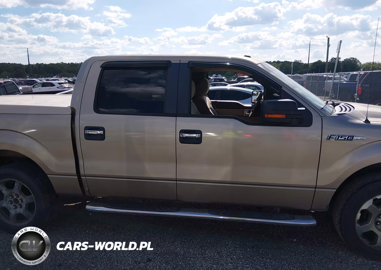 2011 Ford F-150 Xlt VIN:1FTFW1EF0BFA01077 - 13