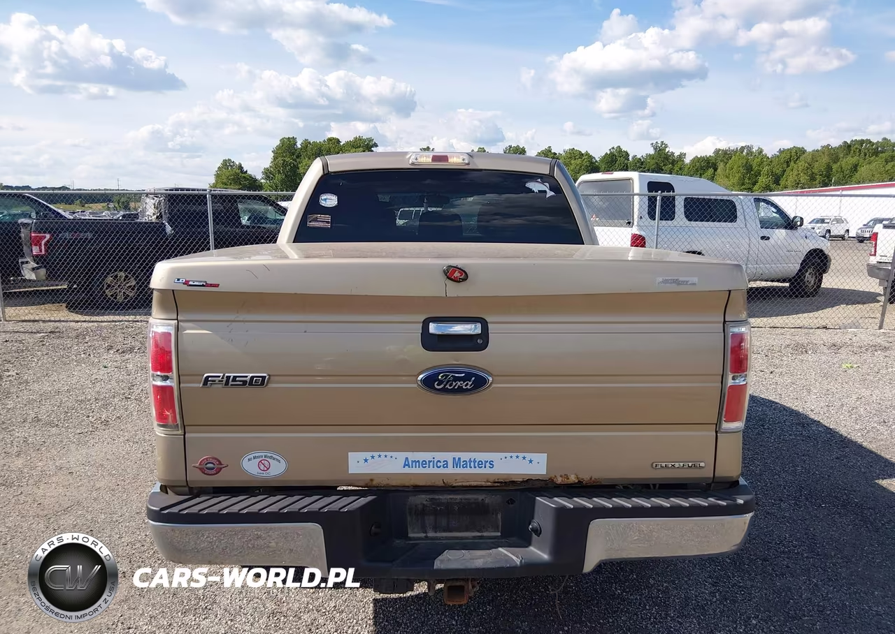 2011 Ford F-150 Xlt VIN:1FTFW1EF0BFA01077 - 16