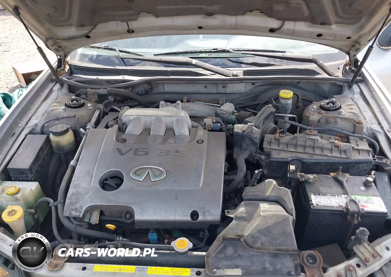2003 Infiniti I35 Luxury VIN:JNKDA31AX3T110921 - 10