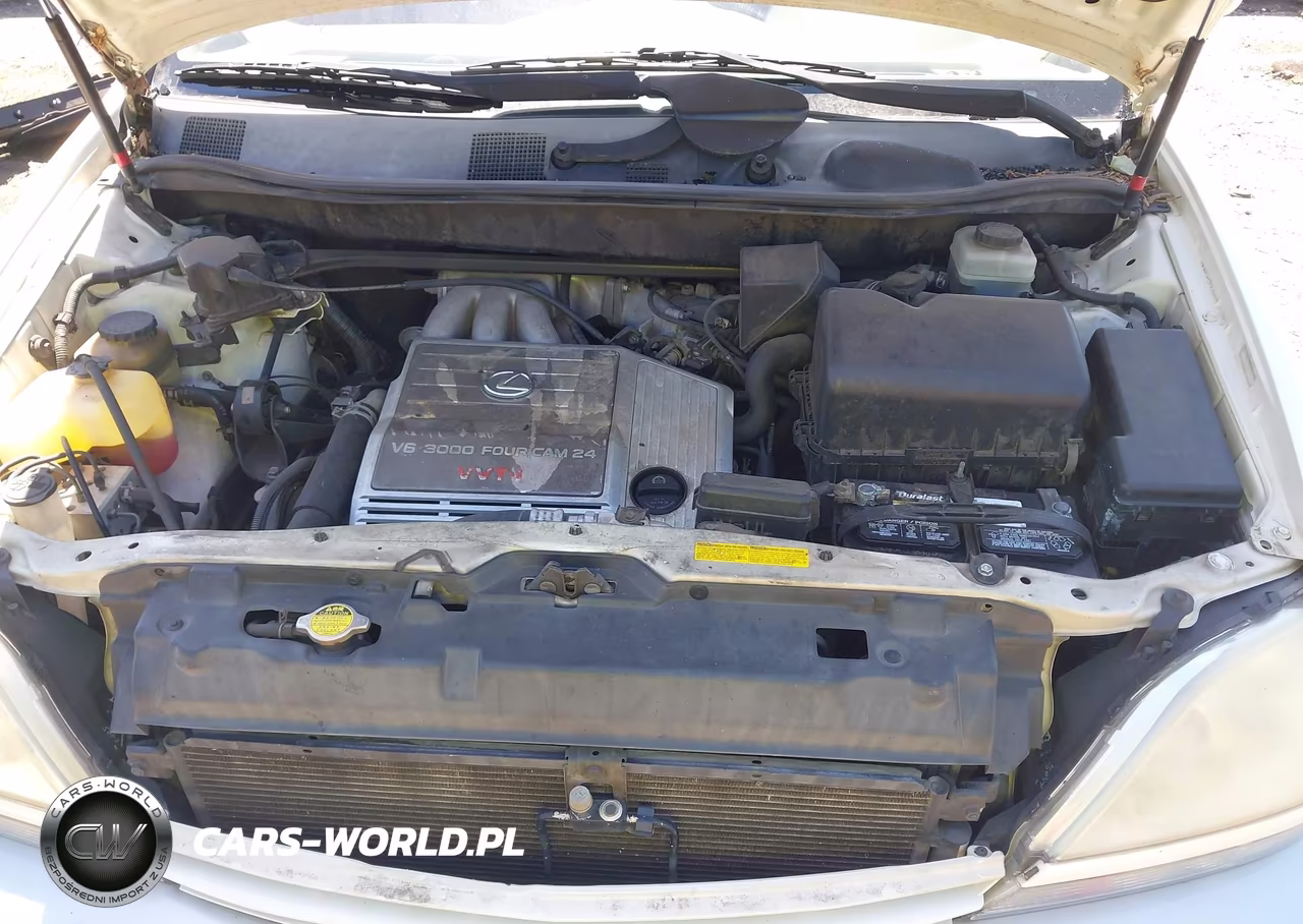2002 Lexus Rx 300 VIN:JTJGF10U620149521 - 10