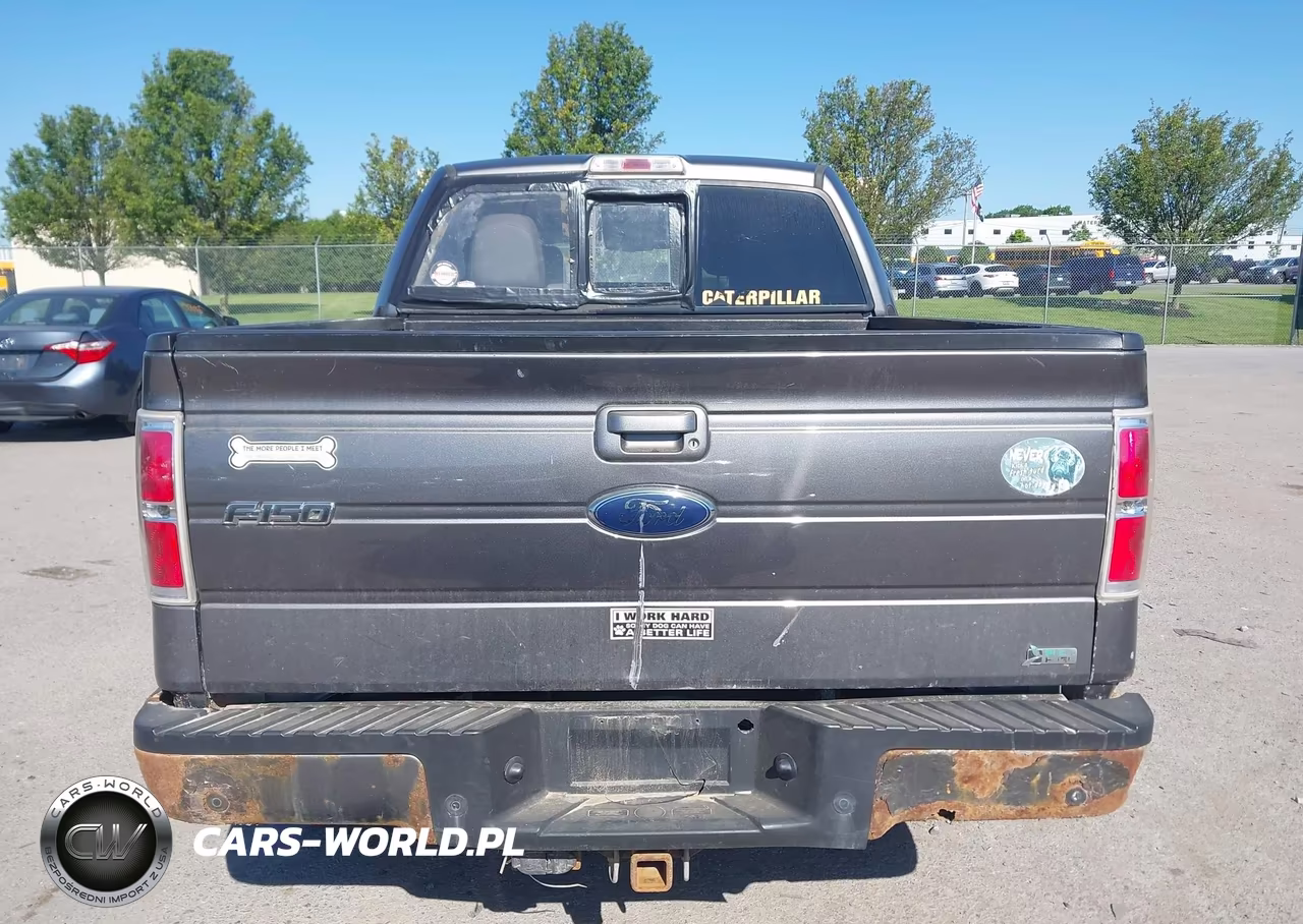 2010 Ford F-150 Fx4-Harley-Davidson-King Ranch-Lariat-Platinum-Xl-Xlt VIN:1FTFW1EV8AFD90380 - 16