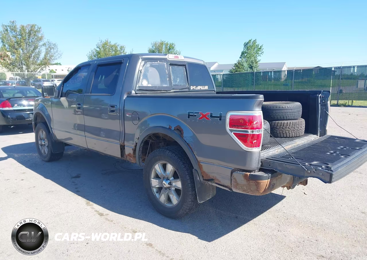 2010 Ford F-150 Fx4-Harley-Davidson-King Ranch-Lariat-Platinum-Xl-Xlt VIN:1FTFW1EV8AFD90380 - 3