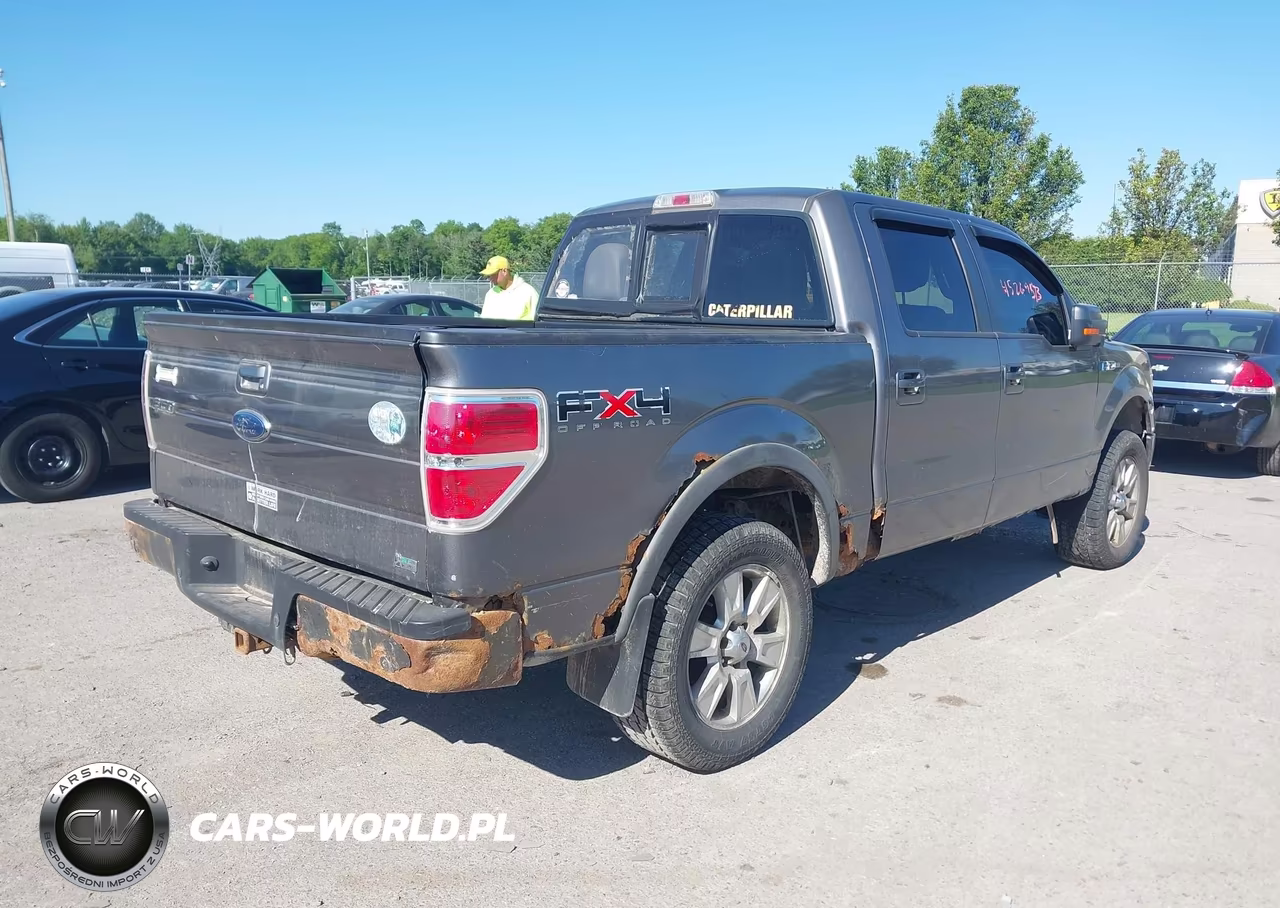 2010 Ford F-150 Fx4-Harley-Davidson-King Ranch-Lariat-Platinum-Xl-Xlt VIN:1FTFW1EV8AFD90380 - 4