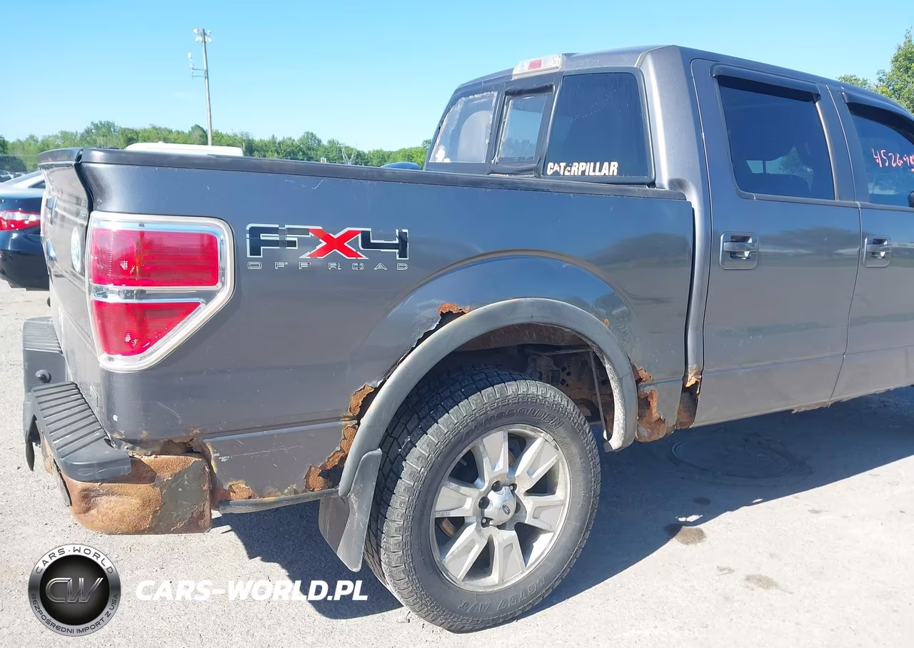 2010 Ford F-150 Fx4-Harley-Davidson-King Ranch-Lariat-Platinum-Xl-Xlt VIN:1FTFW1EV8AFD90380 - 6