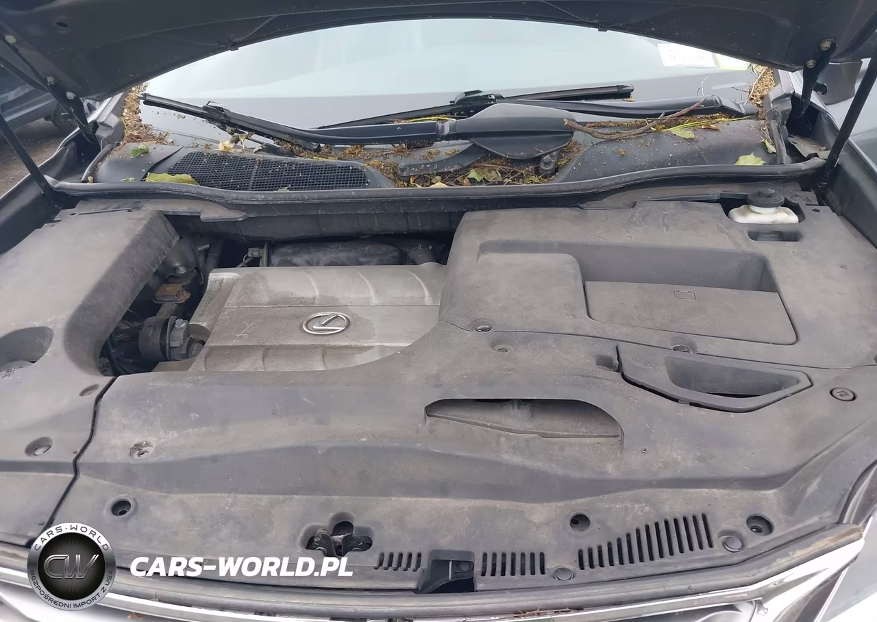 2014 Lexus Rx 350 VIN:2T2BK1BA5EC226591 - 10