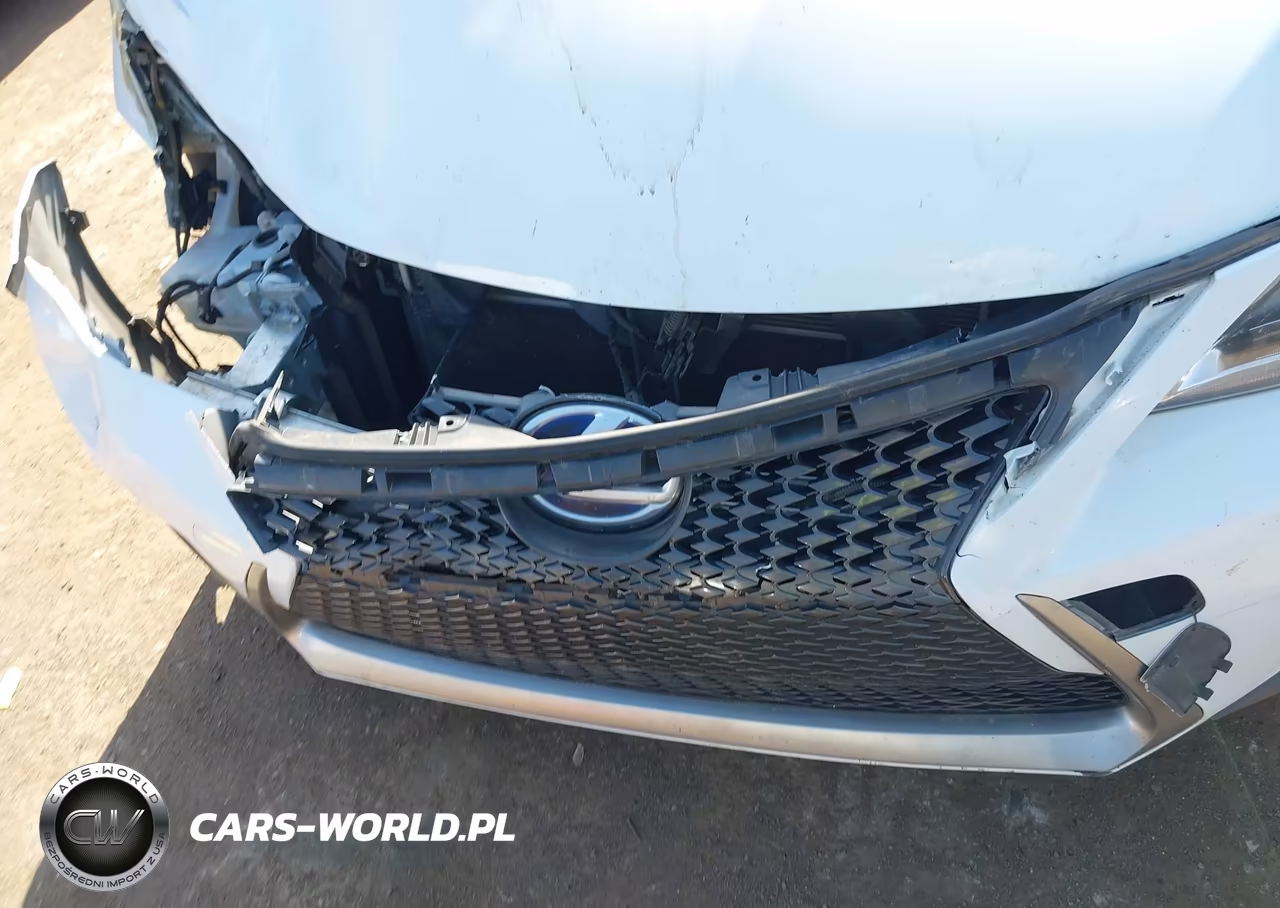 2014 Lexus Ct 200H VIN:JTHKD5BHXE2204389 - 6