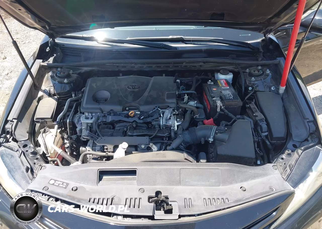 2019 Toyota Camry Xse VIN:4T1B61HK6KU827656 - 10