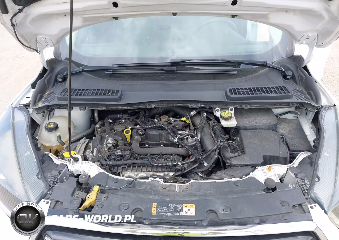2019 Ford Escape Se VIN:1FMCU9GD4KUB51882 - 10