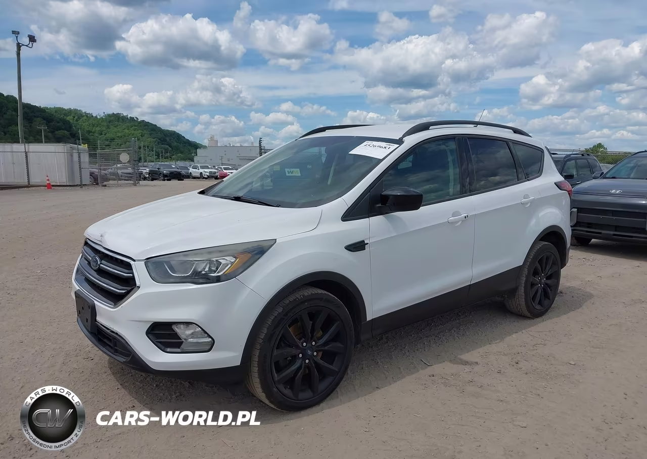 2019 Ford Escape Se VIN:1FMCU9GD4KUB51882 - 2