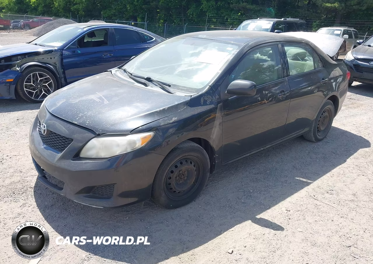 2010 Toyota Corolla Le VIN:2T1BU4EE6AC524558 - 2
