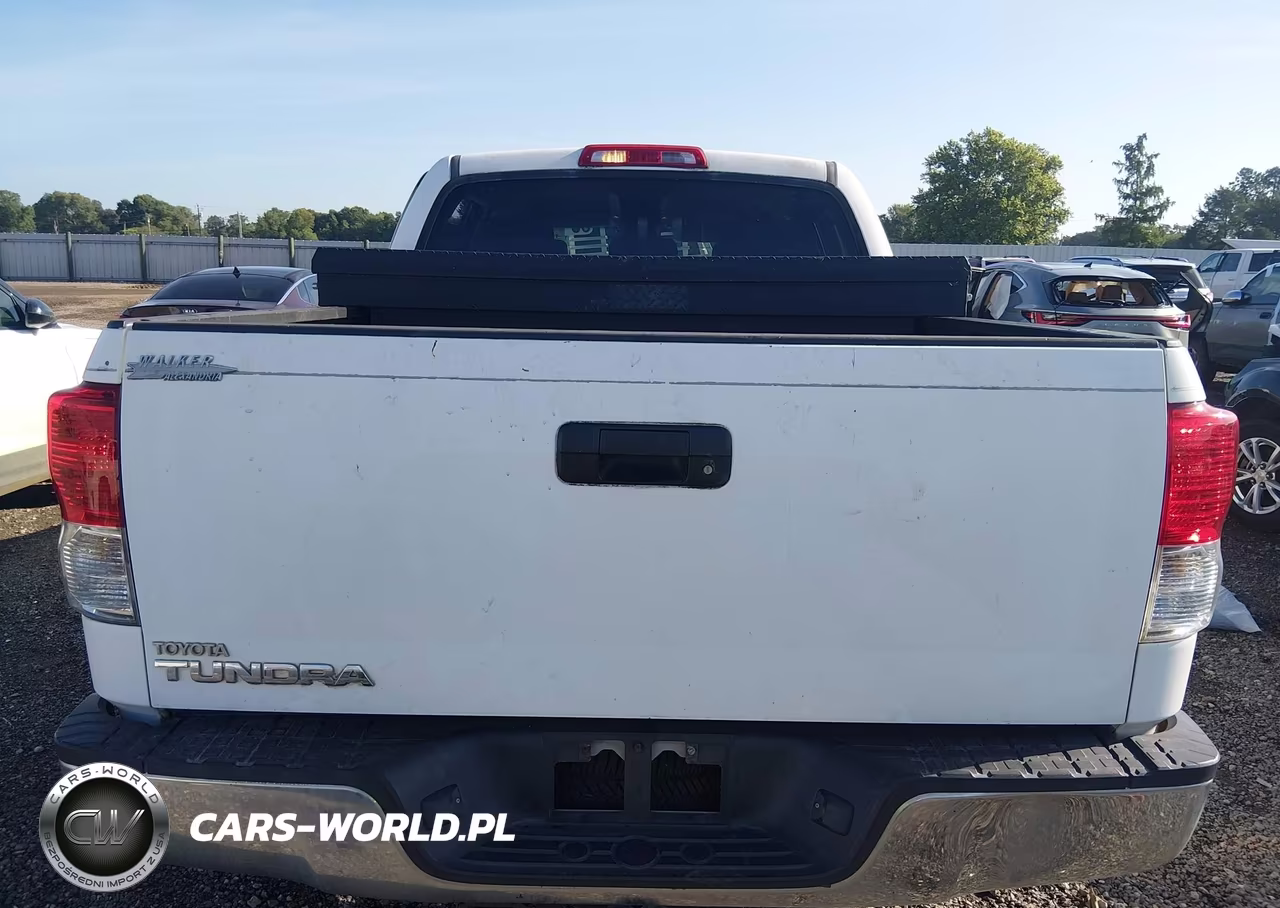 2010 Toyota Tundra Grade 4.6L V8 VIN:5TFEM5F15AX015724 - 16