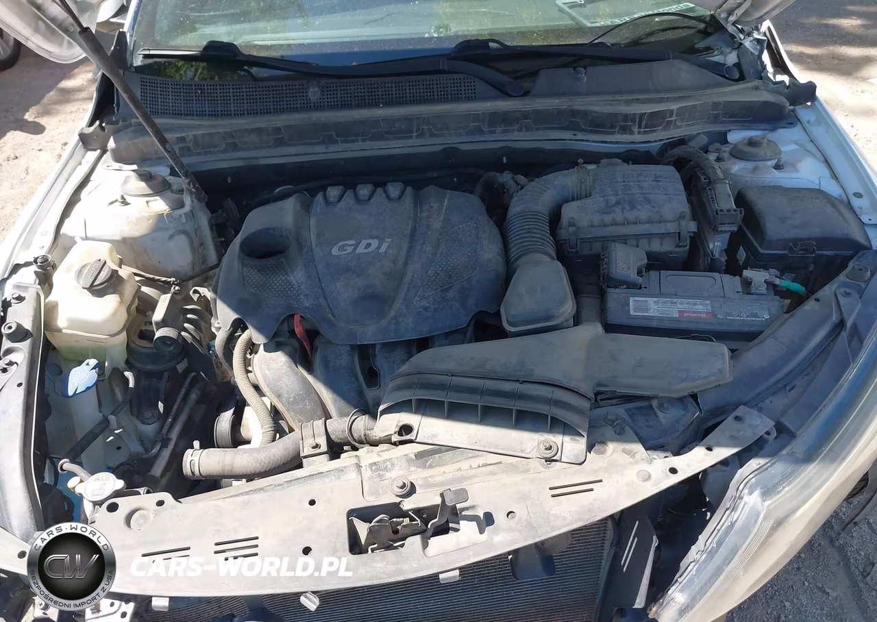 2015 Kia Optima Ex VIN:5XXGN4A77FG464560 - 10