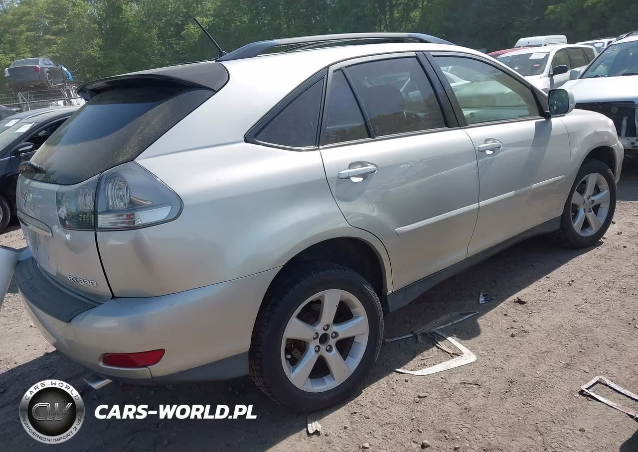 2004 Lexus Rx 330 VIN:JTJHA31U040025650 - 4