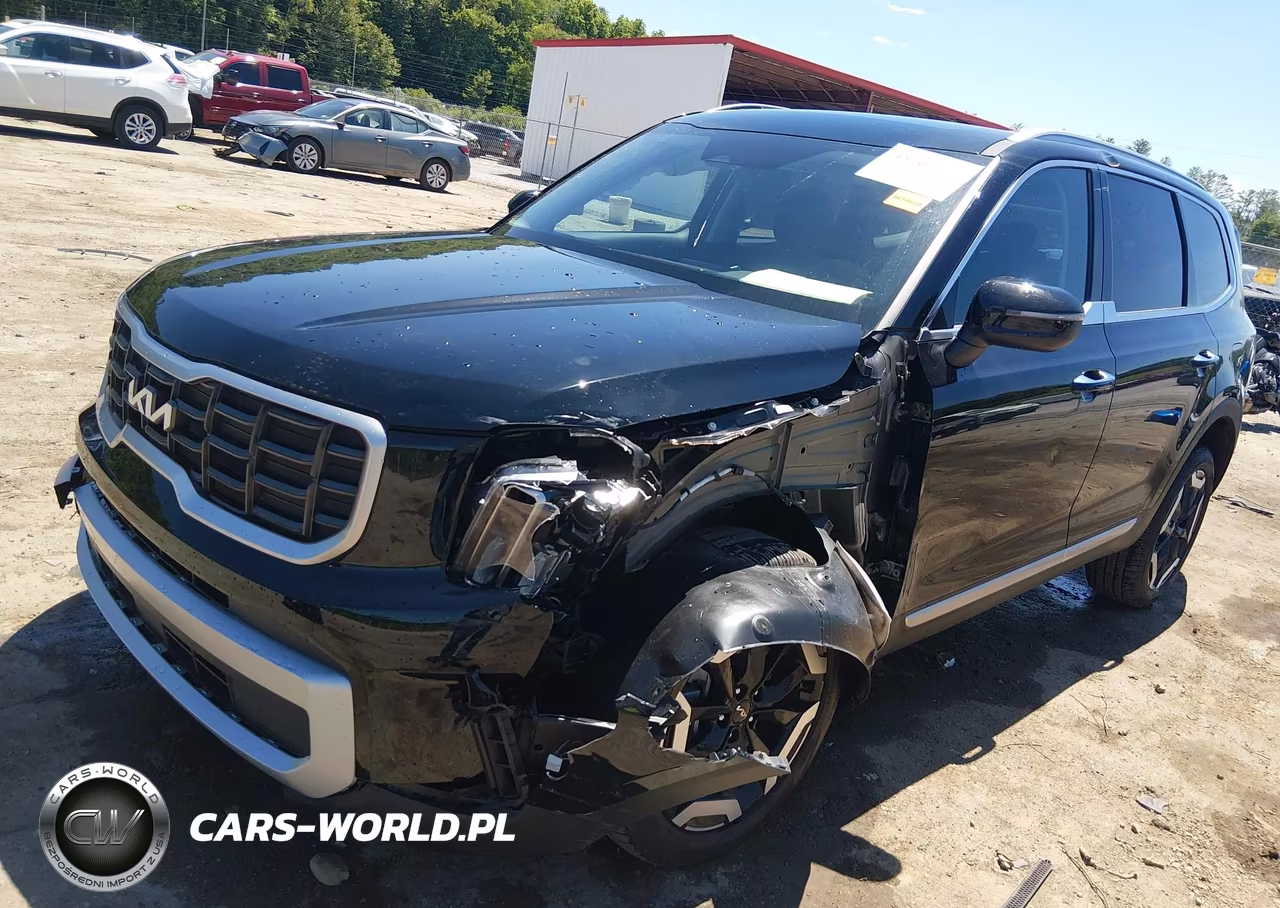 2025 Kia Telluride S VIN:5XYP6DGCXSG725283 - 2