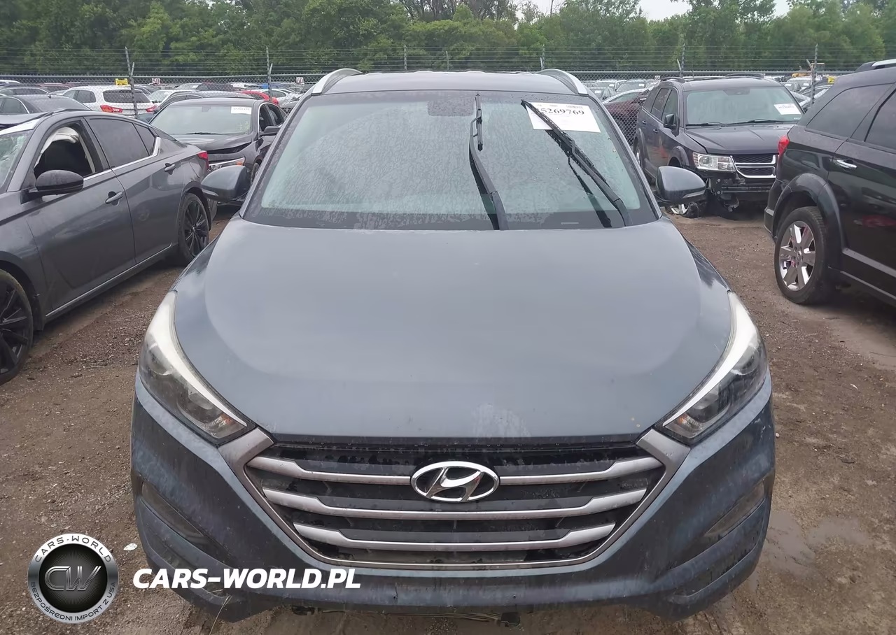 2017 Hyundai Tucson Eco VIN:KM8J3CA2XHU310492 - 13