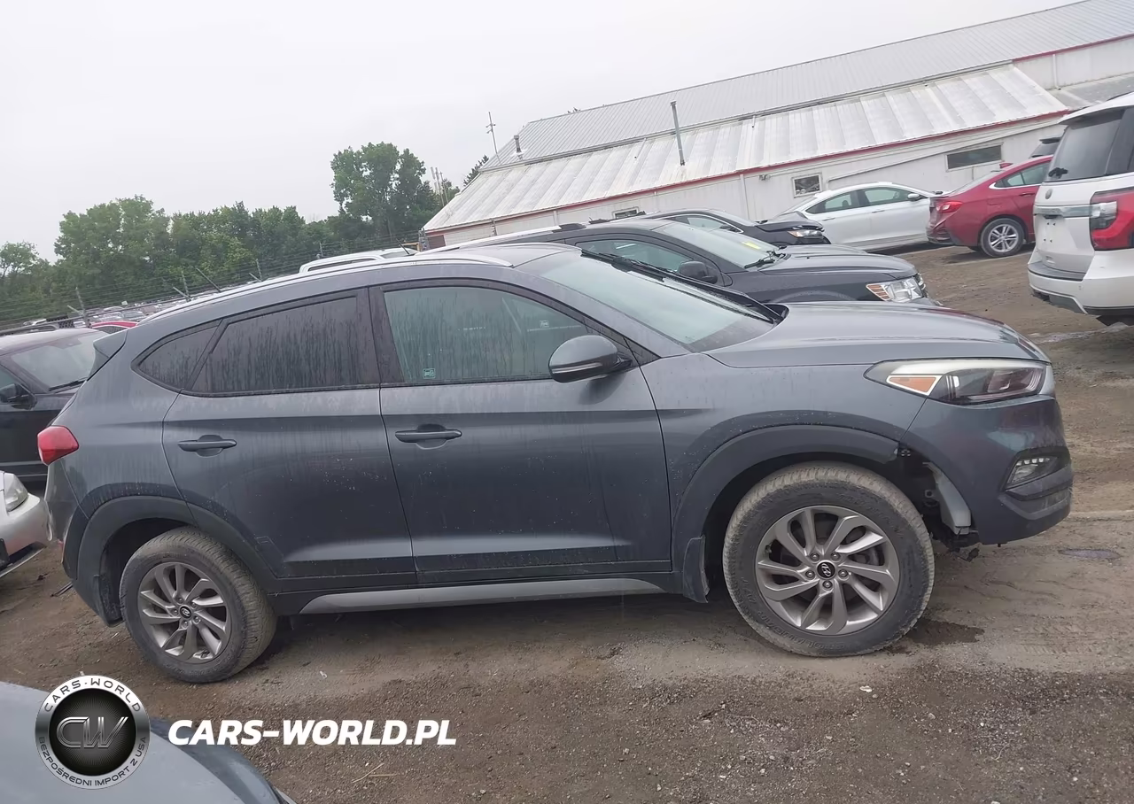 2017 Hyundai Tucson Eco VIN:KM8J3CA2XHU310492 - 14