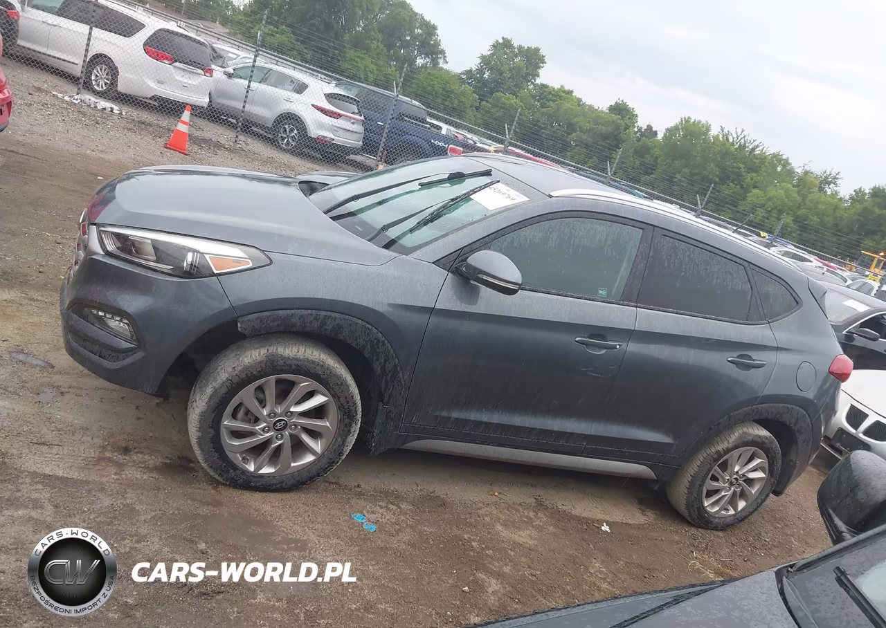 2017 Hyundai Tucson Eco VIN:KM8J3CA2XHU310492 - 15