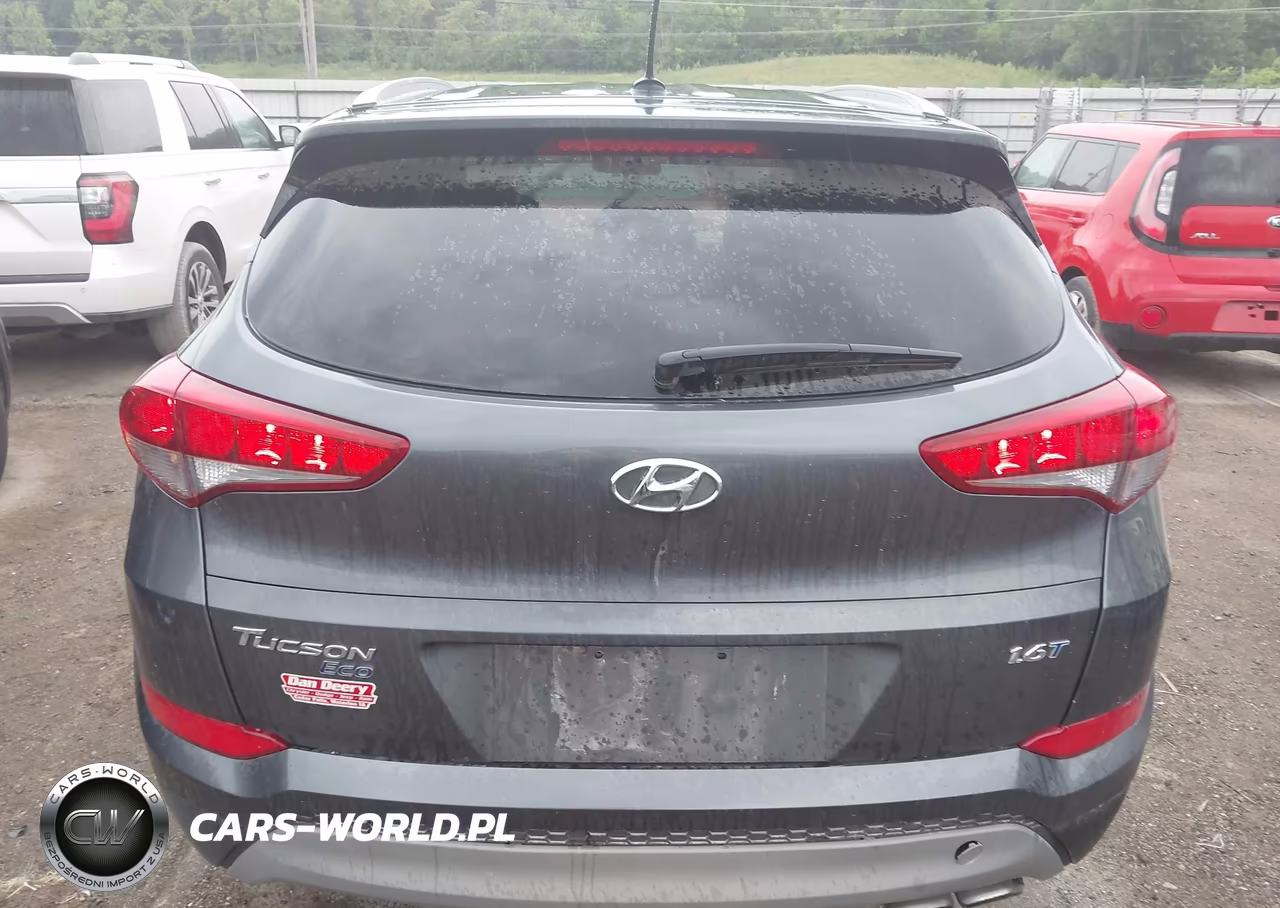 2017 Hyundai Tucson Eco VIN:KM8J3CA2XHU310492 - 17