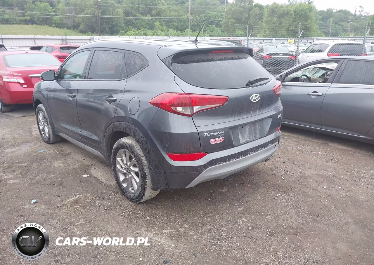2017 Hyundai Tucson Eco VIN:KM8J3CA2XHU310492 - 3