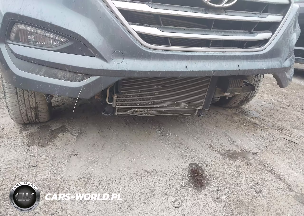 2017 Hyundai Tucson Eco VIN:KM8J3CA2XHU310492 - 6