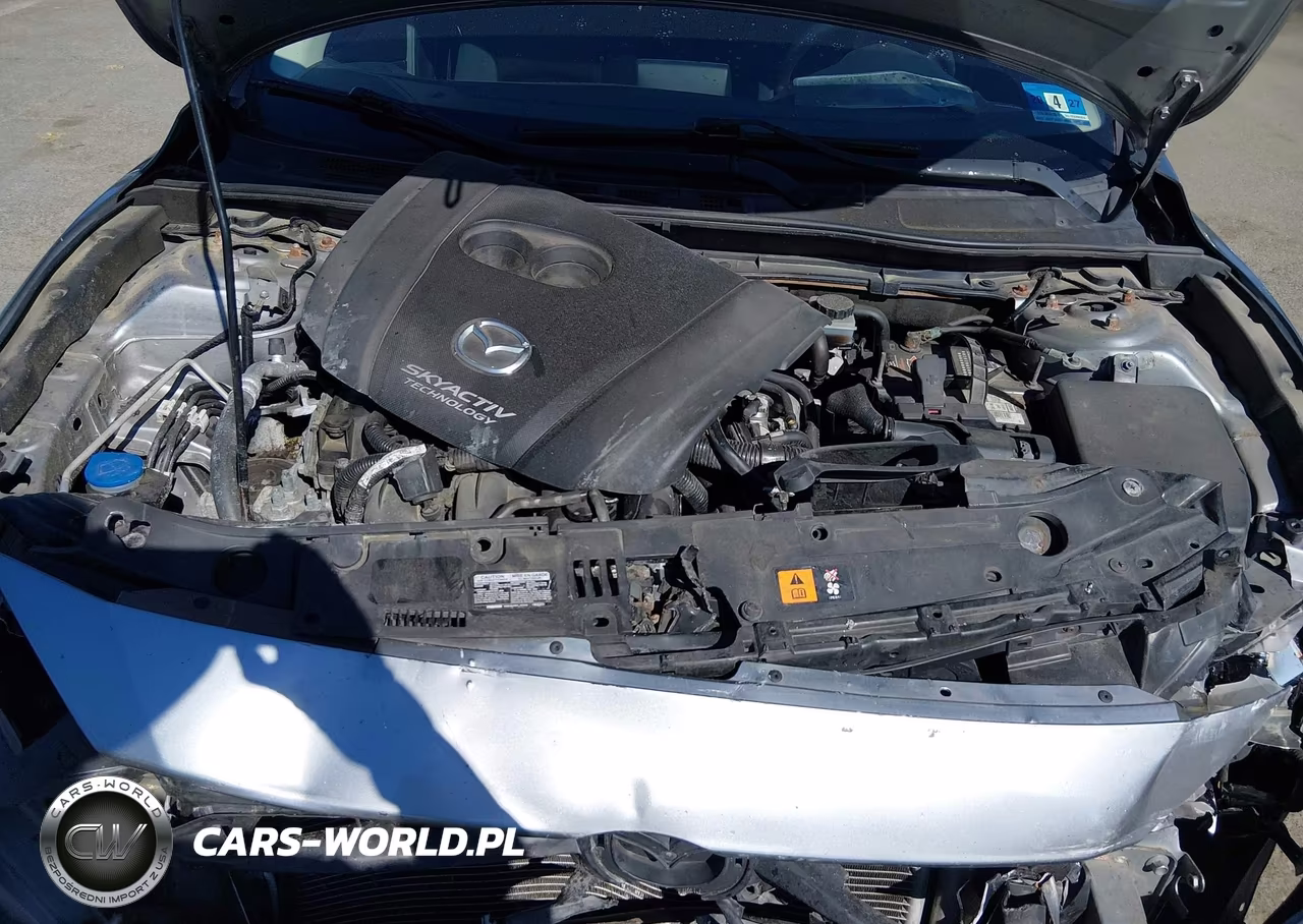 2014 Mazda Mazda3 I Sport VIN:JM1BM1U75E1171483 - 10