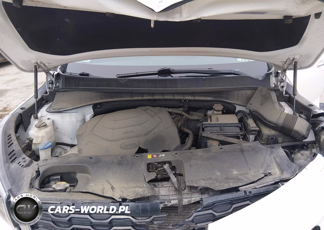 2019 Kia Sorento 3.3L Lx VIN:5XYPGDA50KG446125 - 10