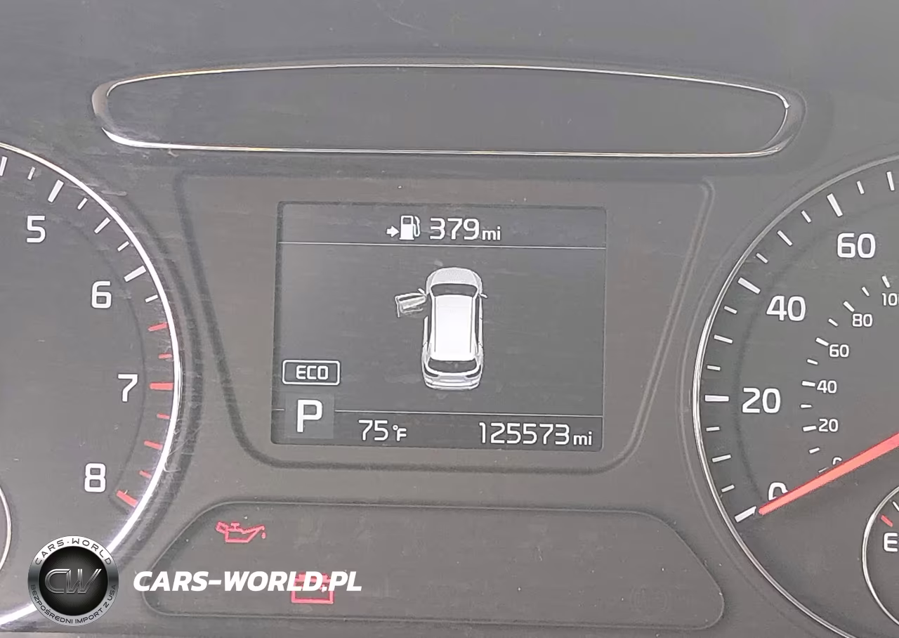 2019 Kia Sorento 3.3L Lx VIN:5XYPGDA50KG446125 - 16