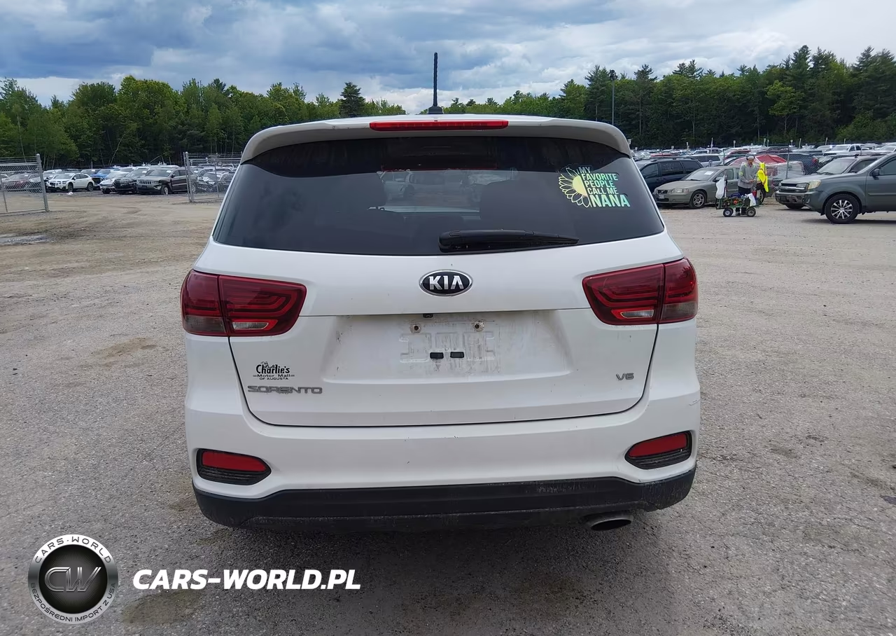 2019 Kia Sorento 3.3L Lx VIN:5XYPGDA50KG446125 - 17