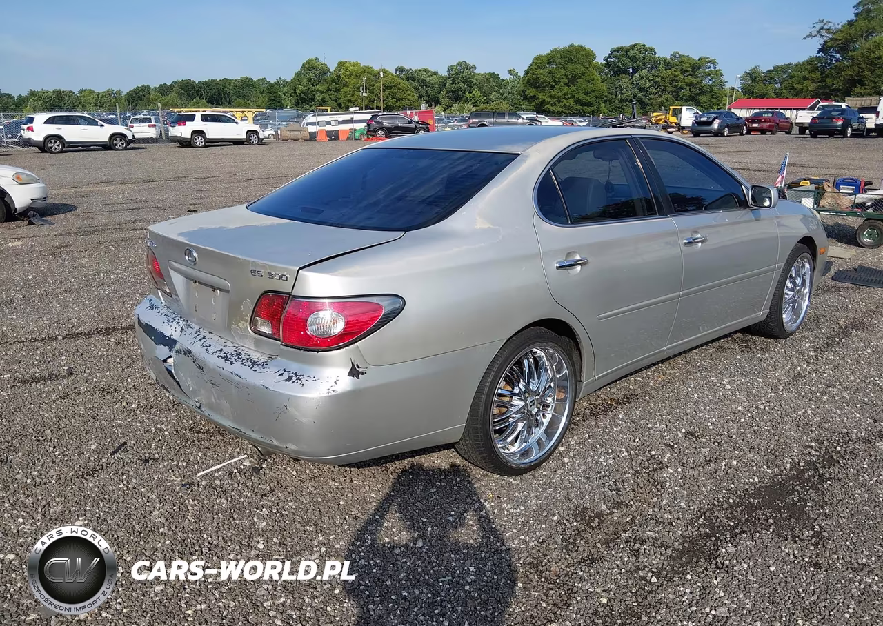 2002 Lexus Es 300 VIN:JTHBF30G625020425 - 4