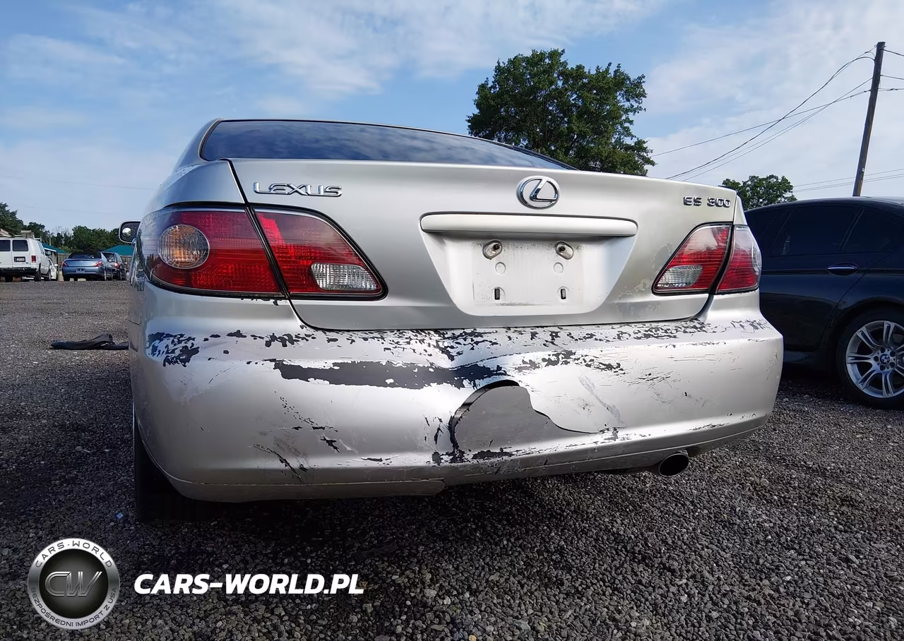 2002 Lexus Es 300 VIN:JTHBF30G625020425 - 6