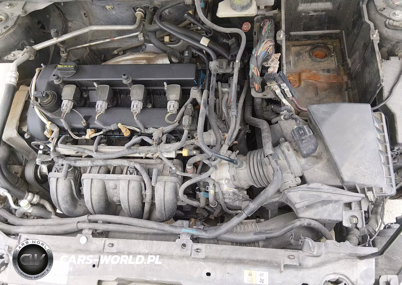 2010 Mazda Mazda3 S Sport VIN:JM1BL1H50A1317844 - 10